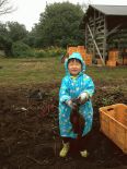 農園の収穫体験でさつま芋を掘ったよ!