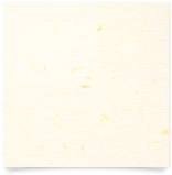 淡い大理石模様のクリーム色「ミューズキララナチュラル」