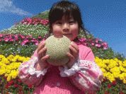 ４月は花花まつりを行います!巨大花ピラミッドが会場に登場します!